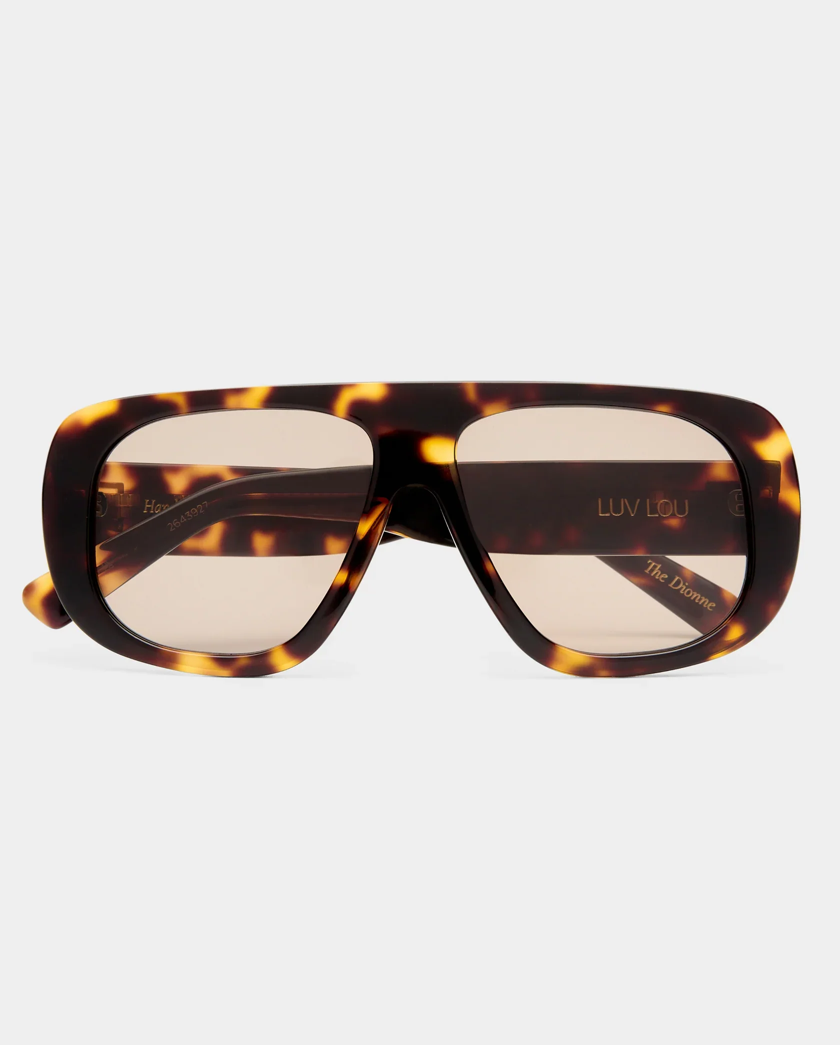 THE DIONNE - Image 4